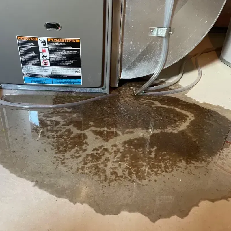 Appliance Leak Cleanup in Calipatria, CA